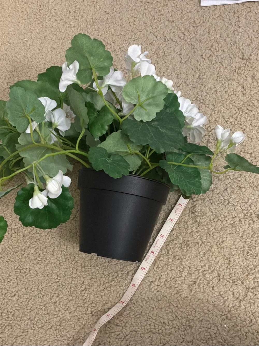 White Artificial Trailing Geranium Plant in Black Pot - Home Accents